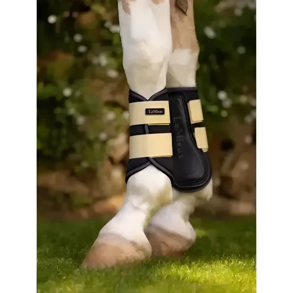 Lemieux grafter brushing boots in black and cream with adjustable straps for leg protection mimosa style
