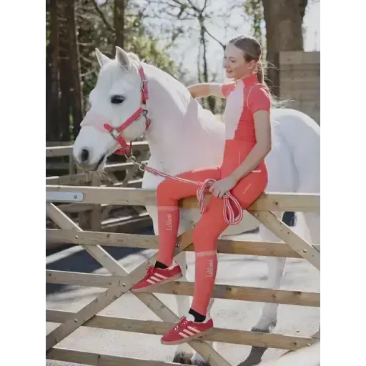 Lemieux Harlow Competition Socks Dusty Cora / Blue Topaz X Small Riding Socks