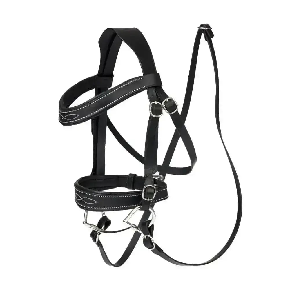Black leather lemieux hobby horse competition bridle black with white stitching and silver metal buckles
