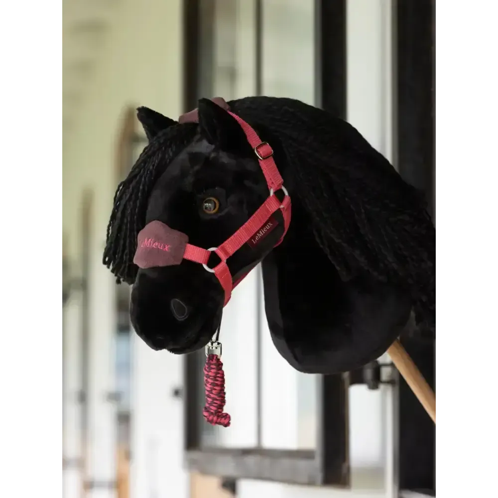 Lemieux Hobby Horse Spike Hobby Horse Spike One Size Hobby Horse Accessories