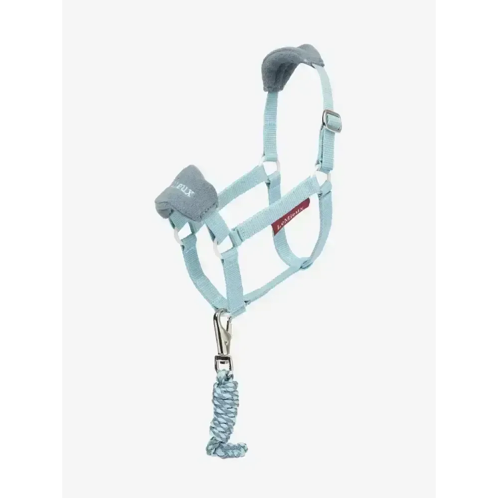 Lemieux Hobby Horse Vogue Headcollar Glacier Glacier Toy Hobby Horse
