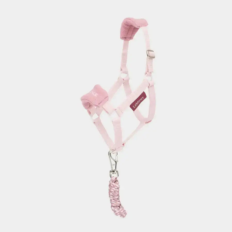 Pink lemieux hobby horse headcollar with fleece inserts and matching braided leadrope hunter green adjustable straps