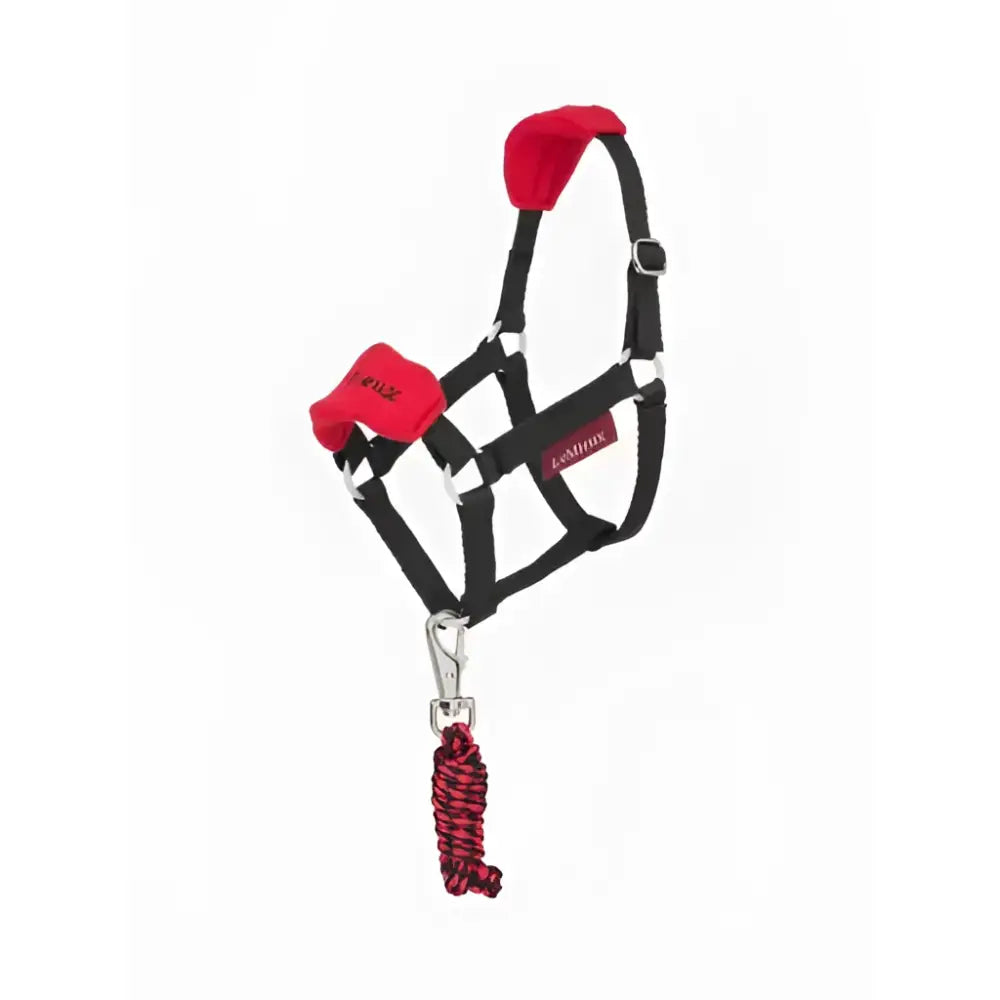 Lemieux hobby vogue headcollar and leadrope chilli in red and black with plush ears and braided rope for riding