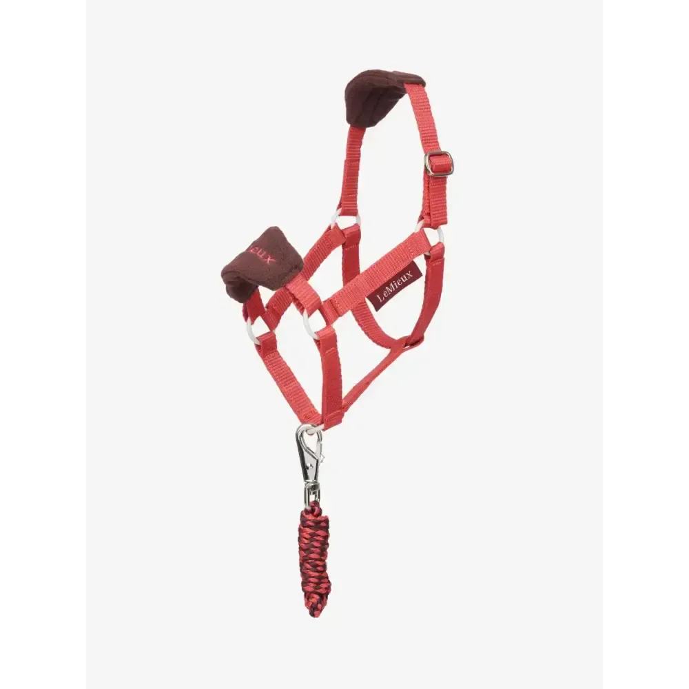 Lemieux Hobby Horse Vogue Headcollar & Leadrope Cranberry Cranberry One Size Hobby Horse Accessories