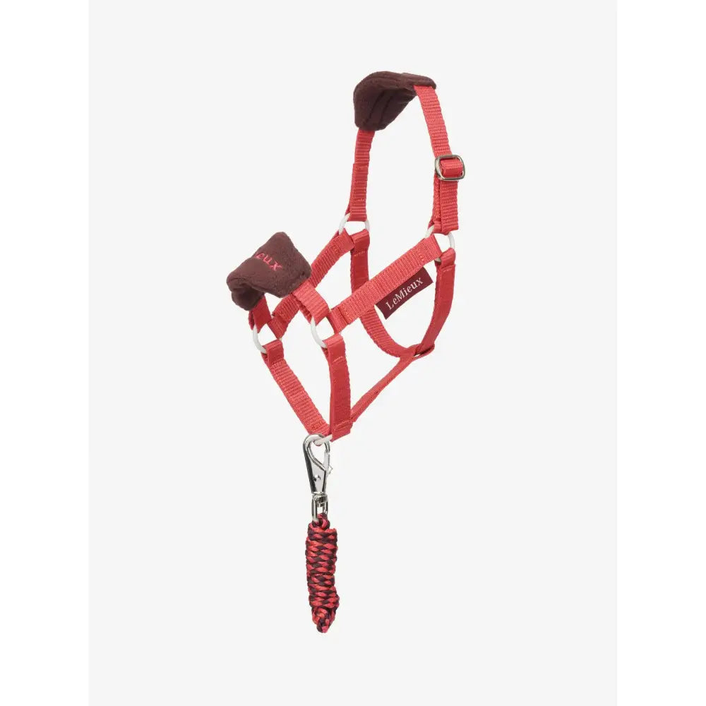 Red fabric lemieux hobby horse halter with brown padded poll strap and matching leadrope cranberry braided rope