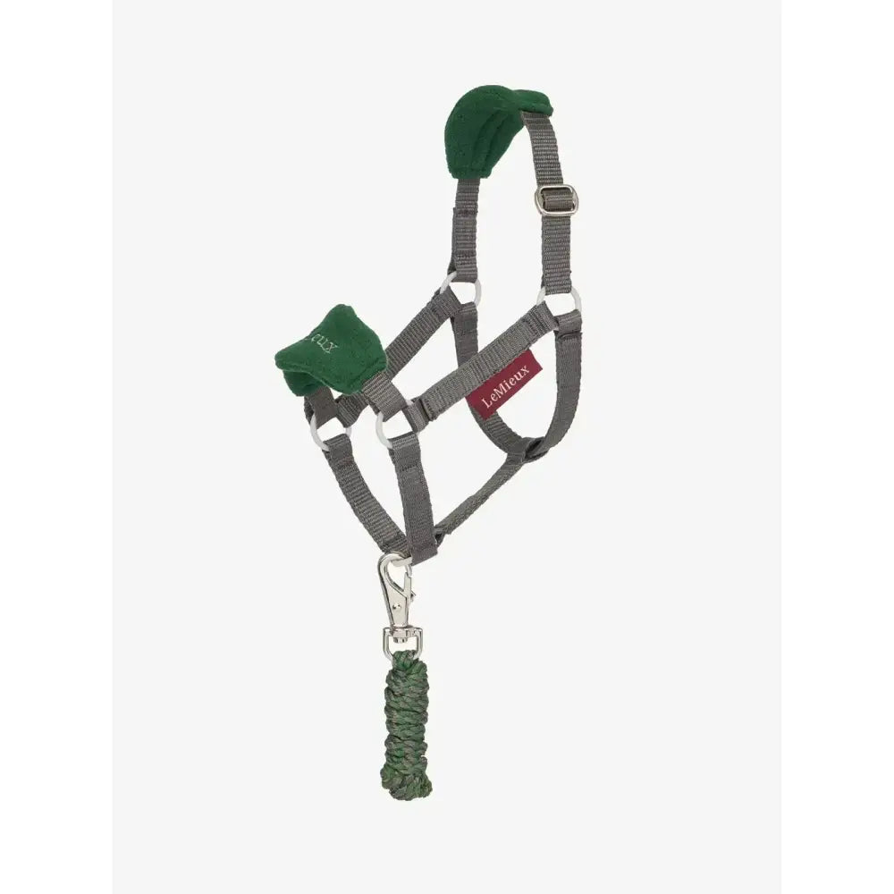 Gray horse vogue headcollar with green padded ears and matching braided leadrope by lemieux hobby horse