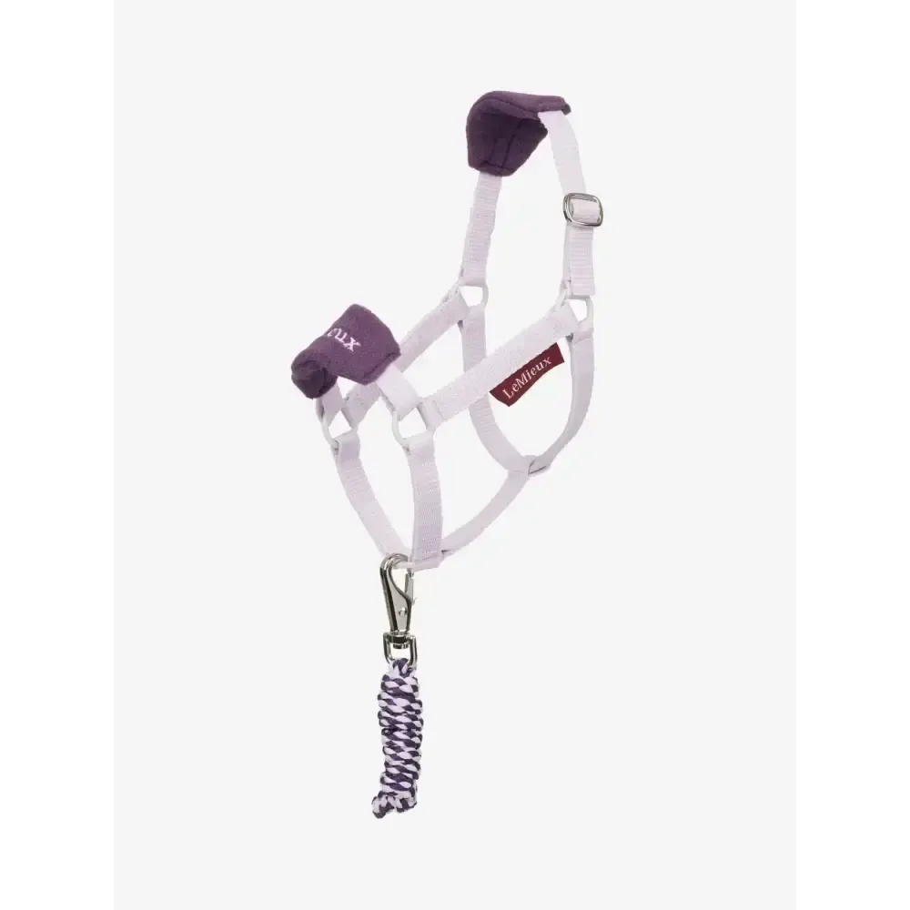 Lemieux Hobby Horse Vogue Headcollar & Leadrope Lilac Lilac One Size Hobby Horse Accessories