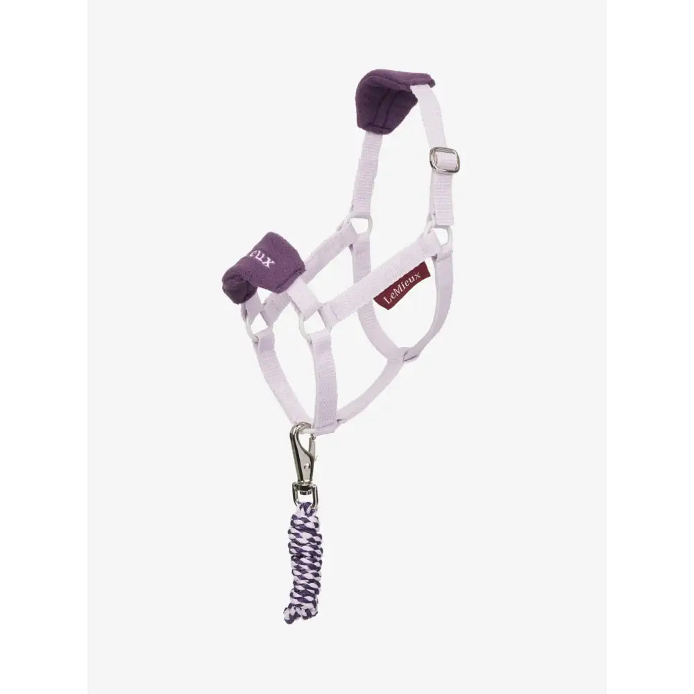 White and purple lemieux hobby horse halter with padded poll strap and braided leadrope lilac attached with metal clip