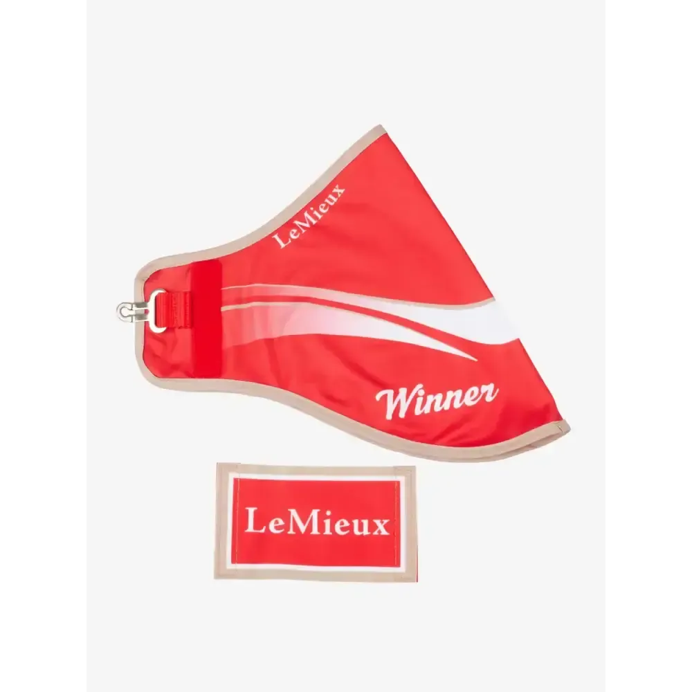 Lemieux Hobby Horse Winners Rug Red Red One Size Hobby Horse Accessories