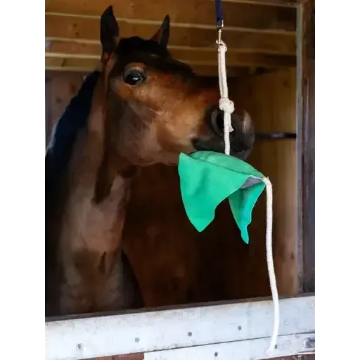 LeMieux Horse Toy Stingray Stingray One Size Horse Toys