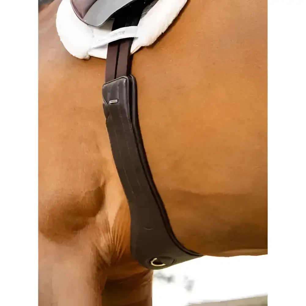 Brown leather lemieux hunter girth strap with white fleece liner havana for comfortable hunter class use