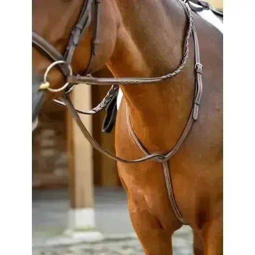 LeMieux Hunter Standing Martingale Havana/Silver Pony Havana/Silver Standing Martingales
