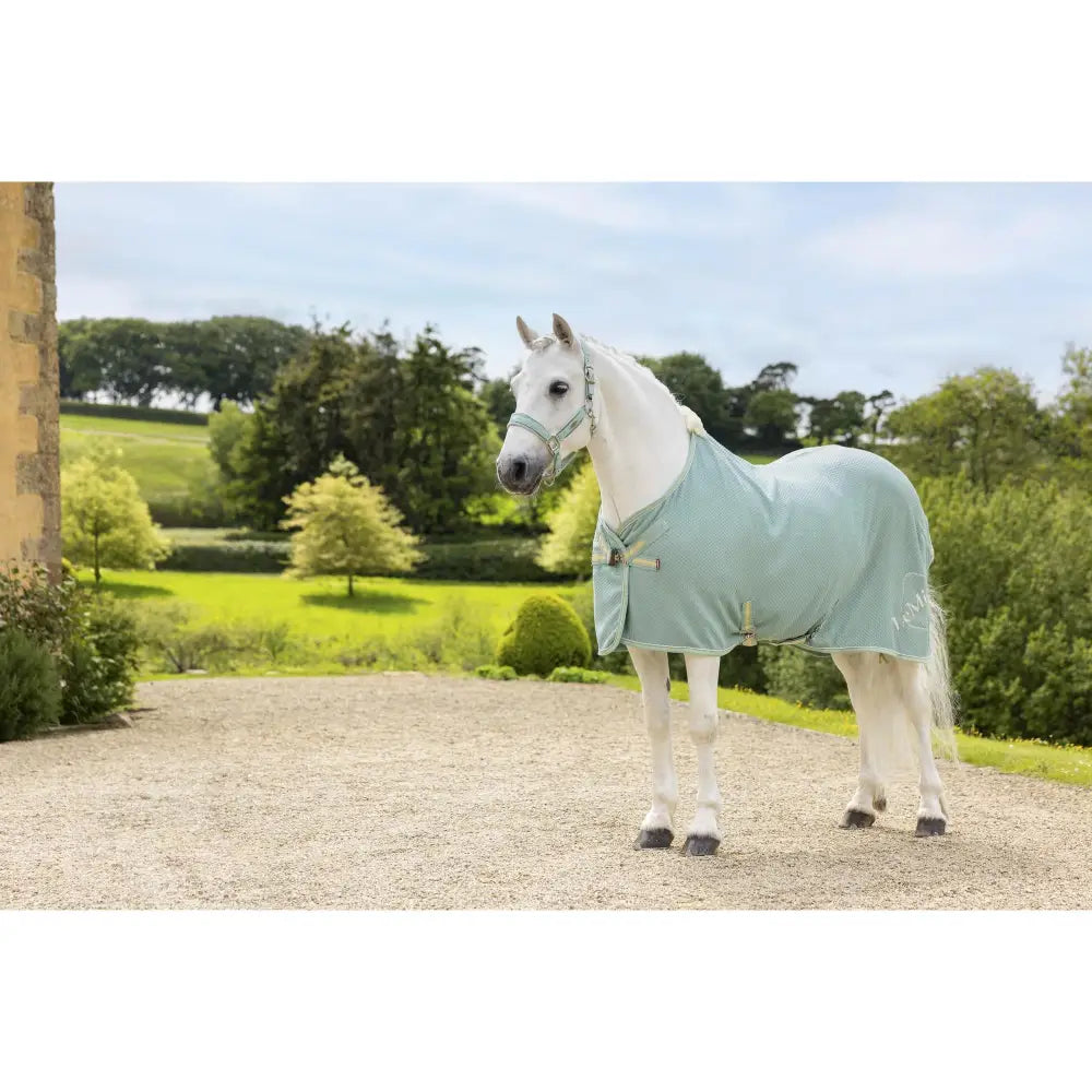 A light blue lemieux kudos bamboo cooler aqua horse blanket with soft texture and adjustable straps with a subtle logo
