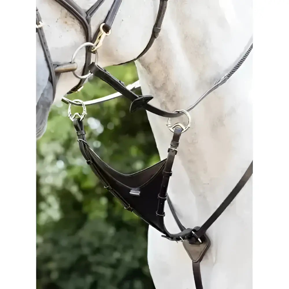 Black leather kudos bib martingale attachment brown with silver toned metal hardware by lemieux