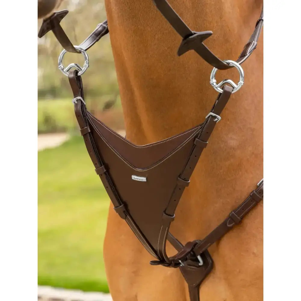 Brown leather horse halter with silver stitching and rings featuring lemieux kudos bib martingale attachment havana silver