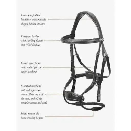 LeMieux Kudos Clear Arc Bridle Havana/Brass Pony Havana/Brass Bridles