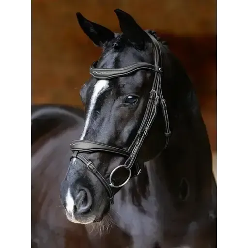 LeMieux Kudos Contour Flash Bridle Black Black Pony Flash Bridles