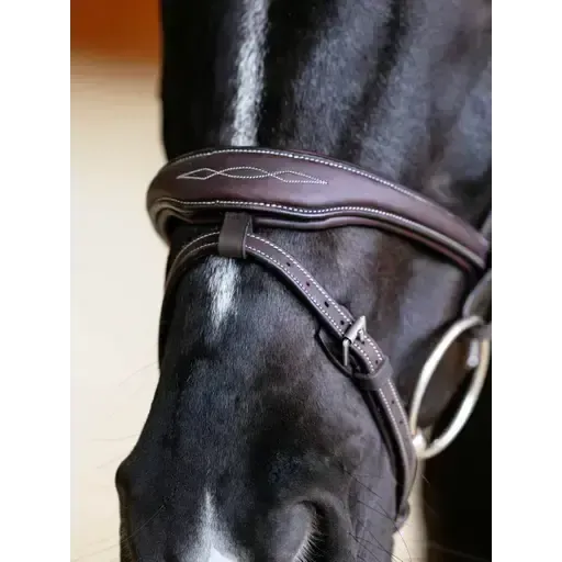 LeMieux Kudos Contour Flash Bridle Brown Brown Pony Flash Bridles