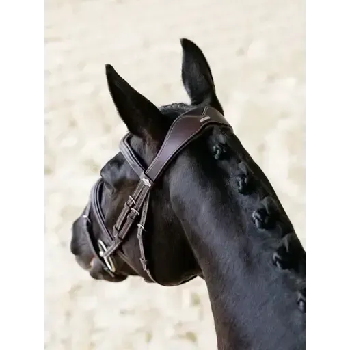 LeMieux Kudos Contour Flash Bridle Brown Brown Pony Flash Bridles