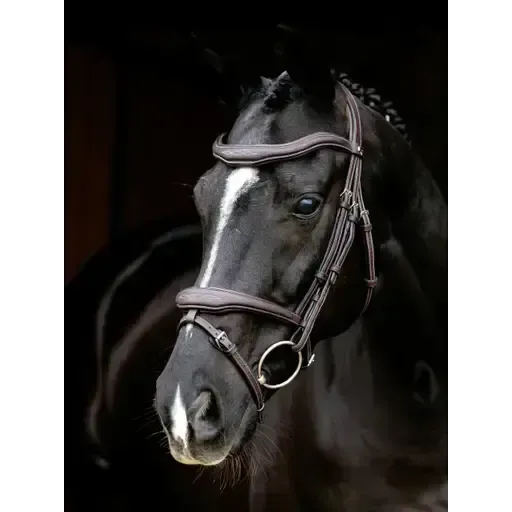 LeMieux Kudos Contour Flash Bridle Brown Brown Pony Flash Bridles