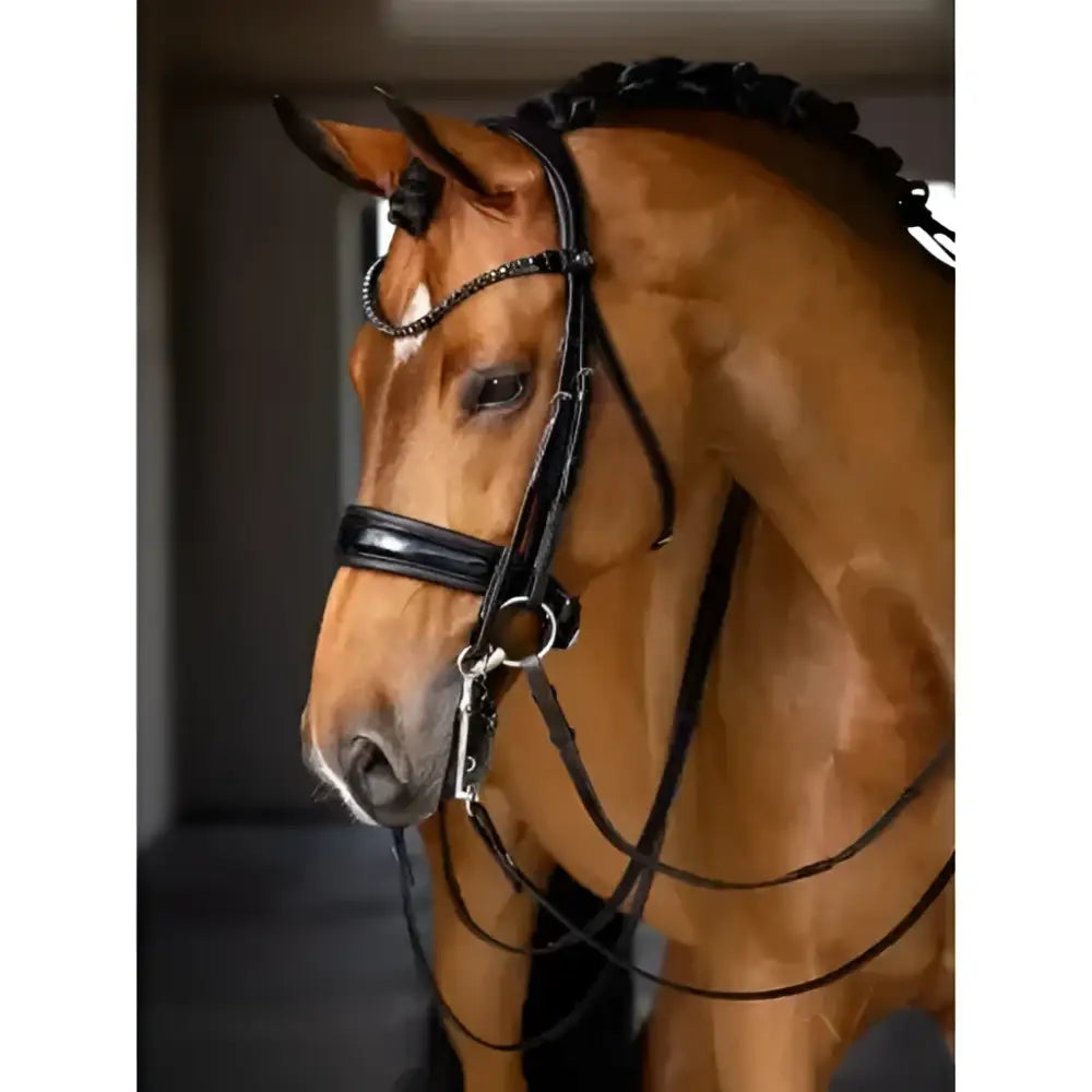 Black leather kudos double bridle with silver hardware anatomically shaped gel padded headpiece in high quality pre oiled italian leather
