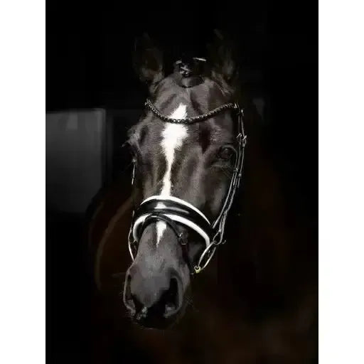 LeMieux Kudos Double Bridle Black/White Pony Black/White Bridles