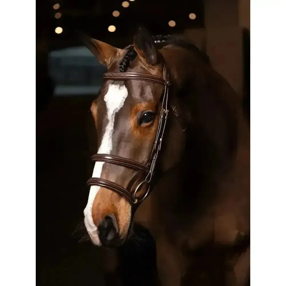 LeMieux Kudos Double Noseband Bridle Havana/Brass Cob Havana/Brass Bridles