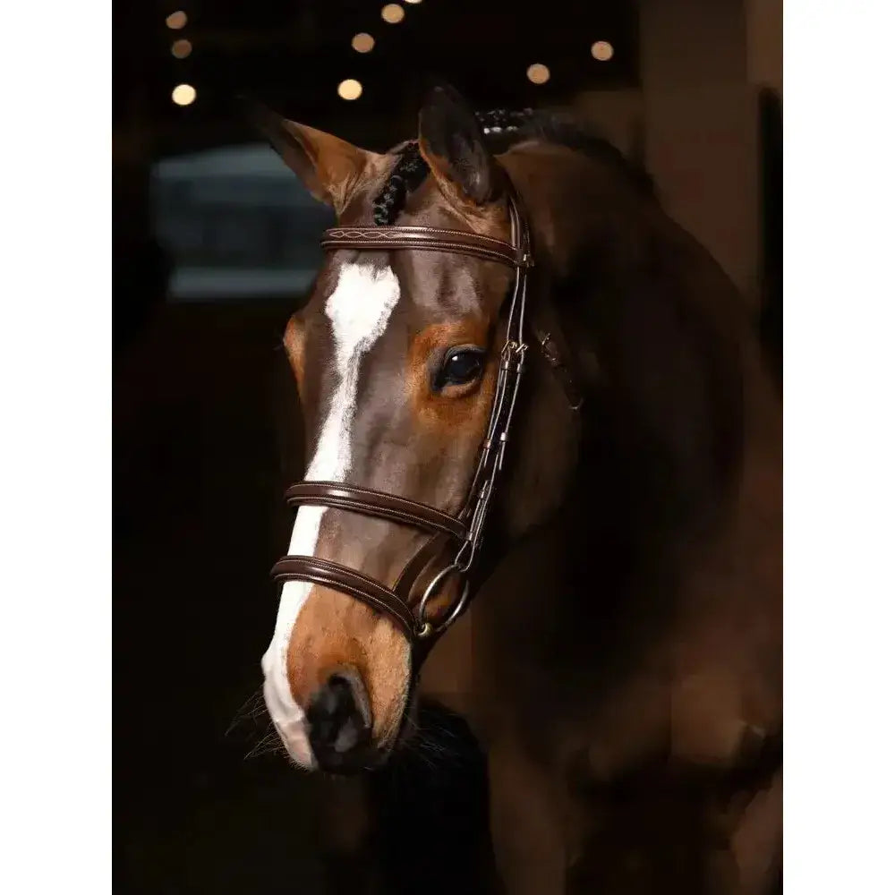 Brown leather lemieux kudos double noseband bridle with braided detailing and brass silver hardware in havana color