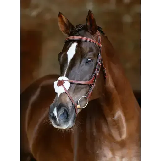 LeMieux Kudos Grackle Bridle Chestnut Chestnut Pony Grackle Bridles