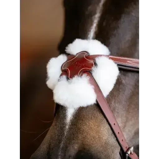 LeMieux Kudos Grackle Bridle Chestnut Chestnut Pony Grackle Bridles