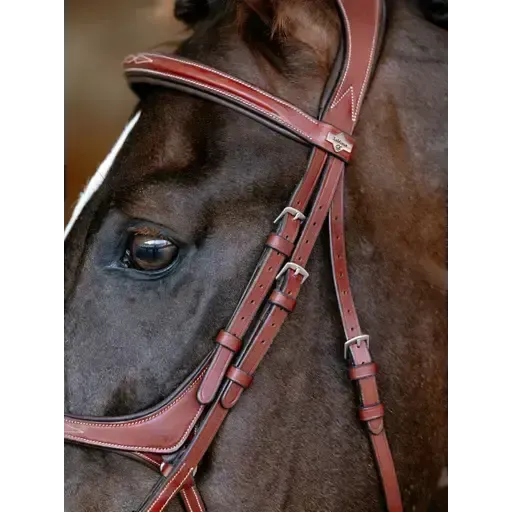 LeMieux Kudos Grackle Bridle Chestnut Chestnut Pony Grackle Bridles