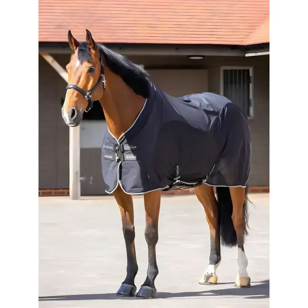 Dark navy lemieux kudos hybrid cooler with white trim and black velcro closures protects key muscle groups