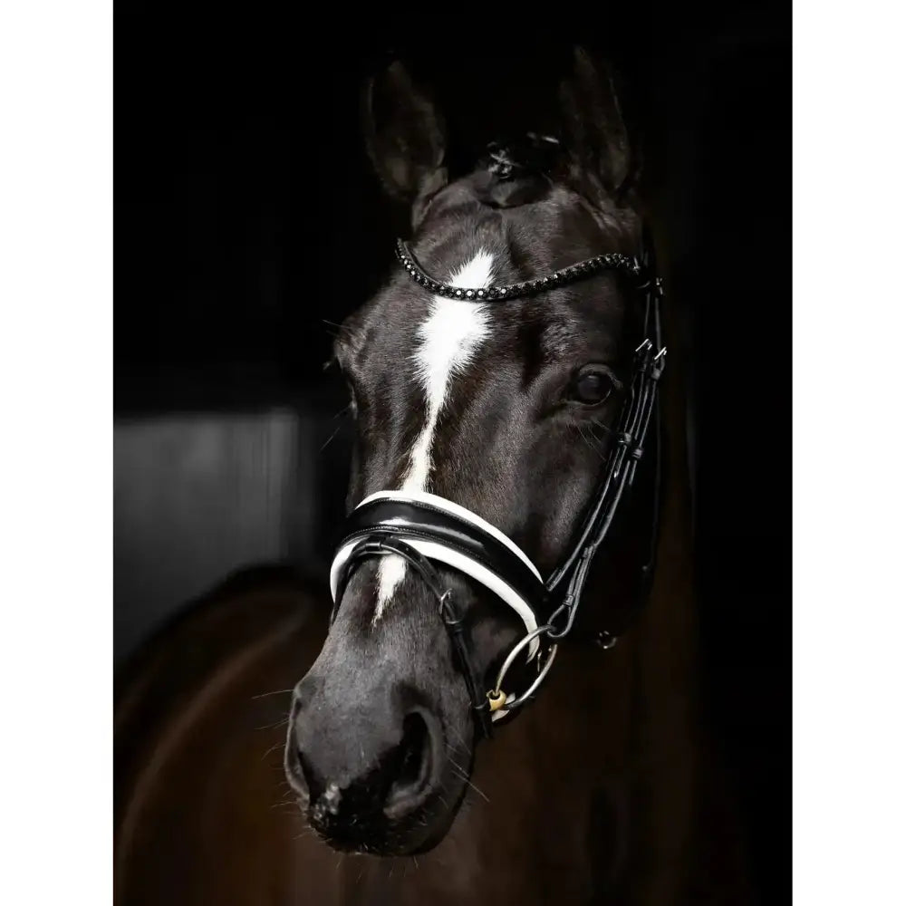 Black and white lemieux kudos patent dressage bridle with braided chain detail for stylish riding gear