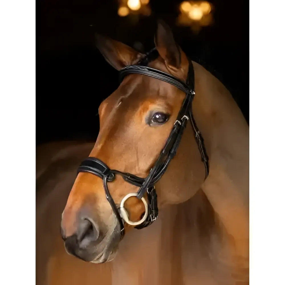 Black leather lemieux kudos patent dressage bridle brown with premium pre-oiled italian leather and gold hardware