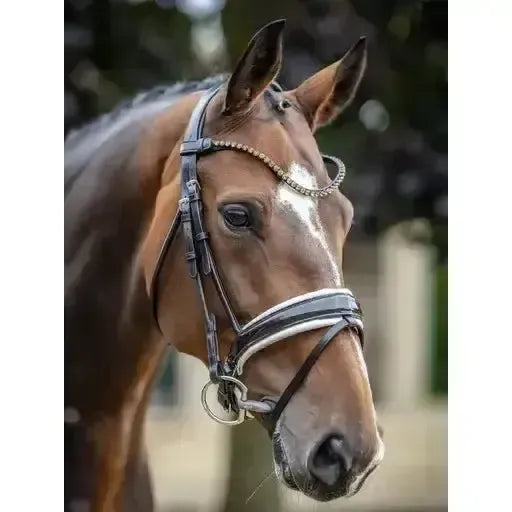 LeMieux Kudos Patent Dressage Bridle Brown/White Pony Brown/White Bridles