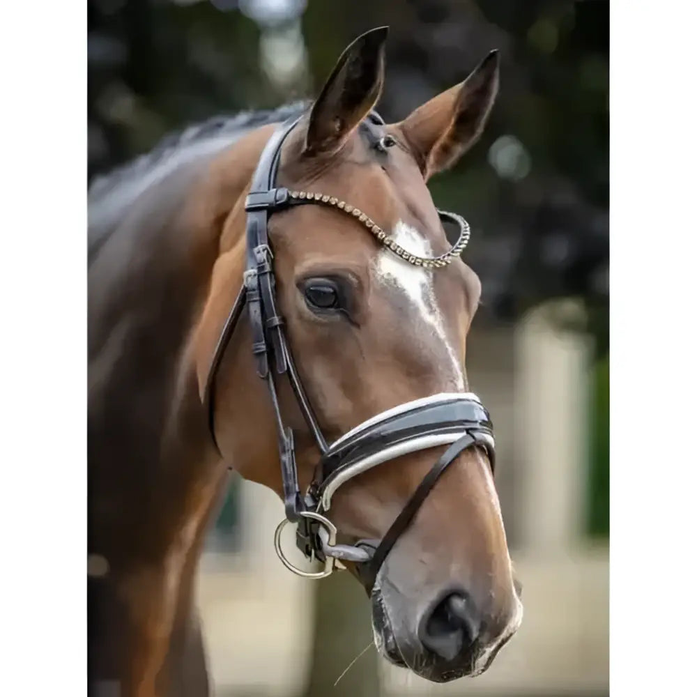 Brown horse wearing a black and silver lemieux kudos patent dressage bridle with decorative beaded detailing