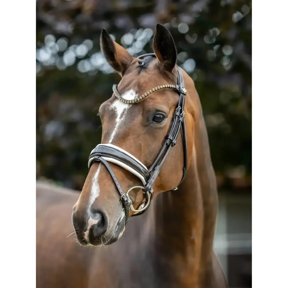 Brown horse wearing lemieux kudos patent dressage bridle in brown with silver and gold beaded browband