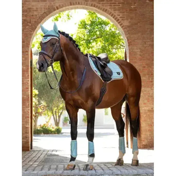 A brown horse wearing light blue lemieux loire classic close contact square saddle pad and matching protective gear