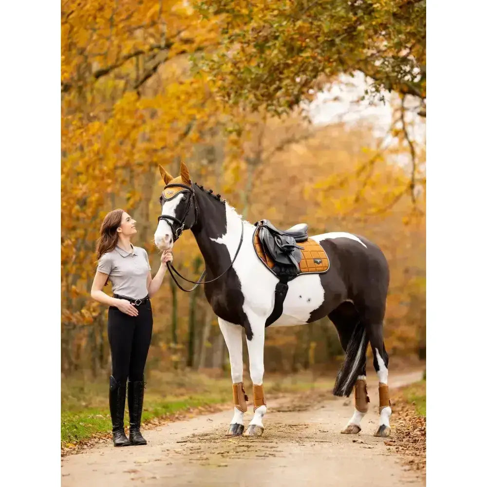 A sleek black and white pinto horse wearing the lemieux loire classic close contact saddle pad in ginger with brown wraps