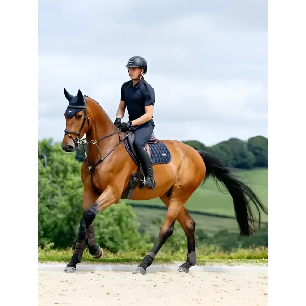 A chestnut horse wearing black leg wraps and a navy lemieux loire classic close contact square saddle pad