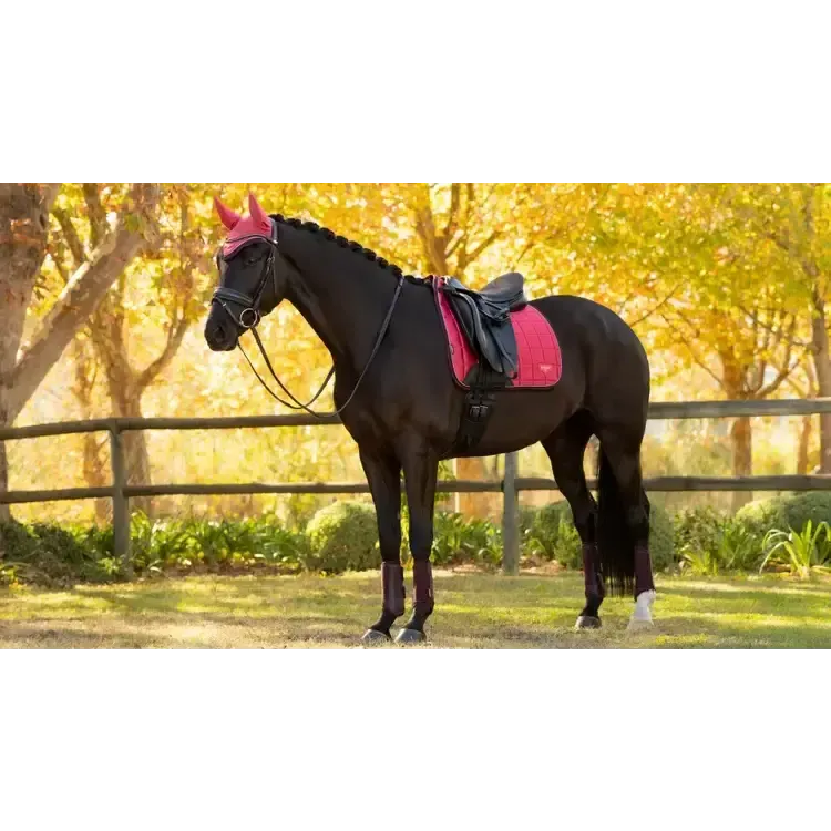 Lemieux Loire Classic Dressage Square Cranberry Cranberry Small/Medium Dressage Saddle Pads