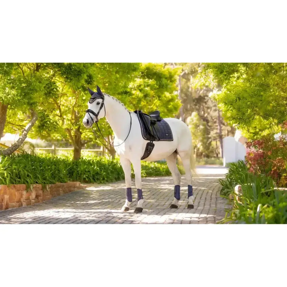 A white horse on a sunlit path wearing lemieux loire classic dressage square dusk purple leg wraps and black saddle