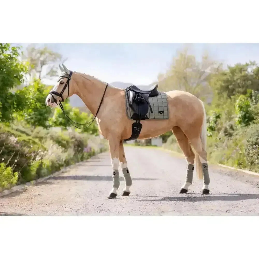 Lemieux Loire Classic Dressage Square Fern Small/Medium Dressage Saddle Pads