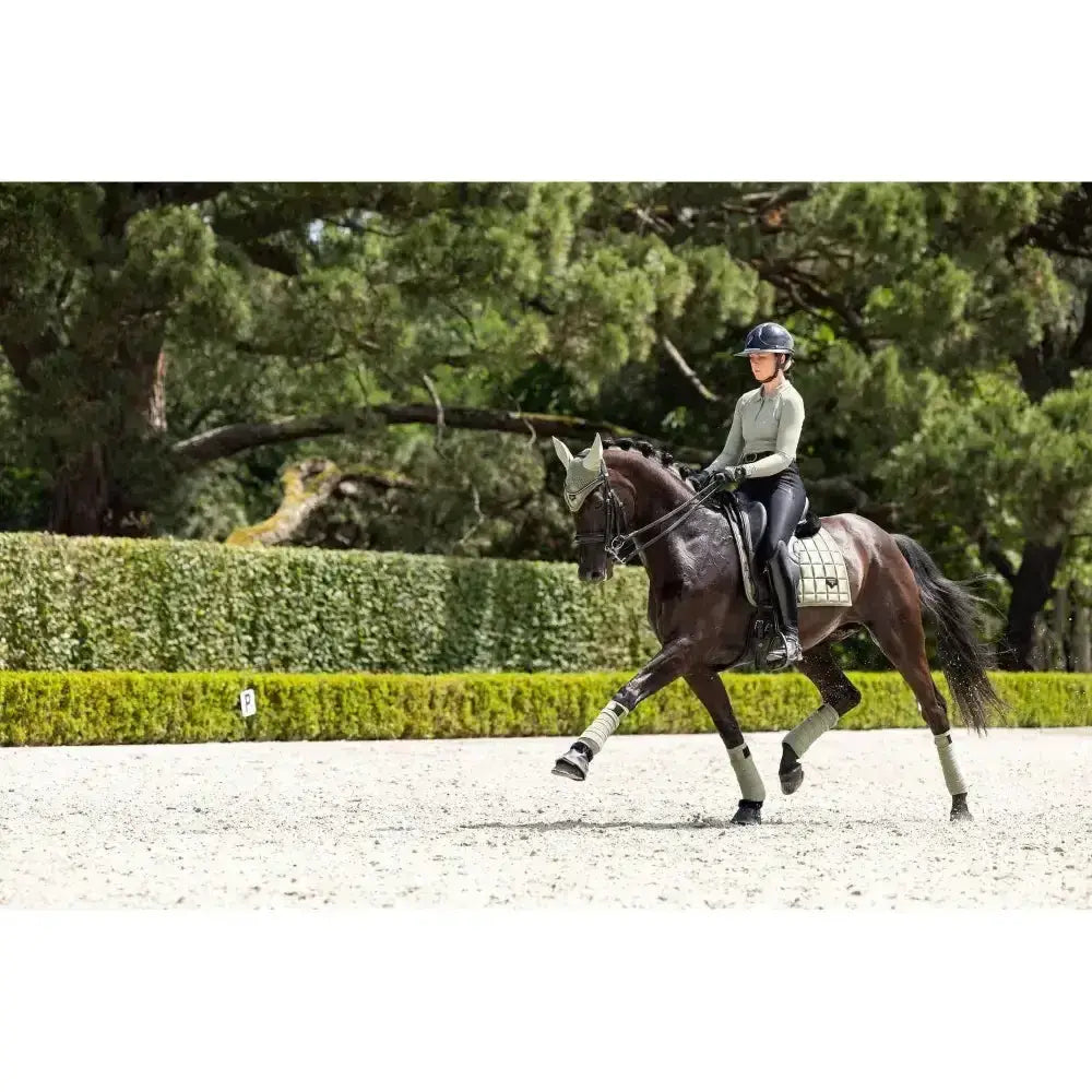 Lemieux Loire Classic Dressage Square Fern Small/Medium Dressage Saddle Pads