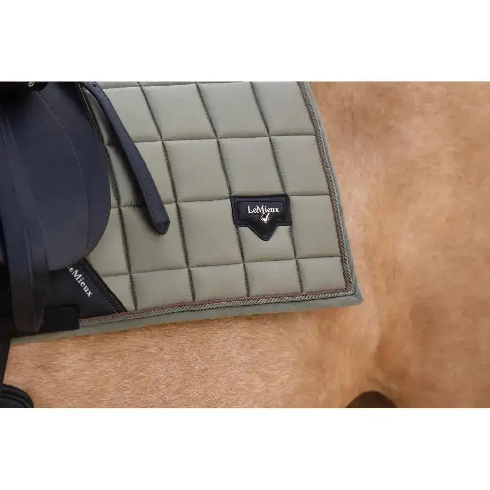 Lemieux Loire Classic Dressage Square Fern Small/Medium Dressage Saddle Pads