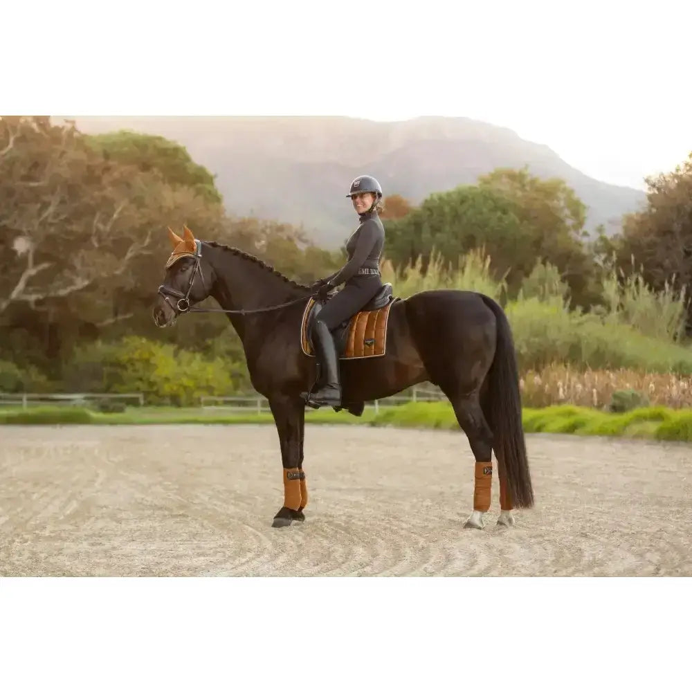 Black horse with brown leg wraps and matching bridle ridden by equestrian wearing lemieux loire classic dressage square ginger saddle pad