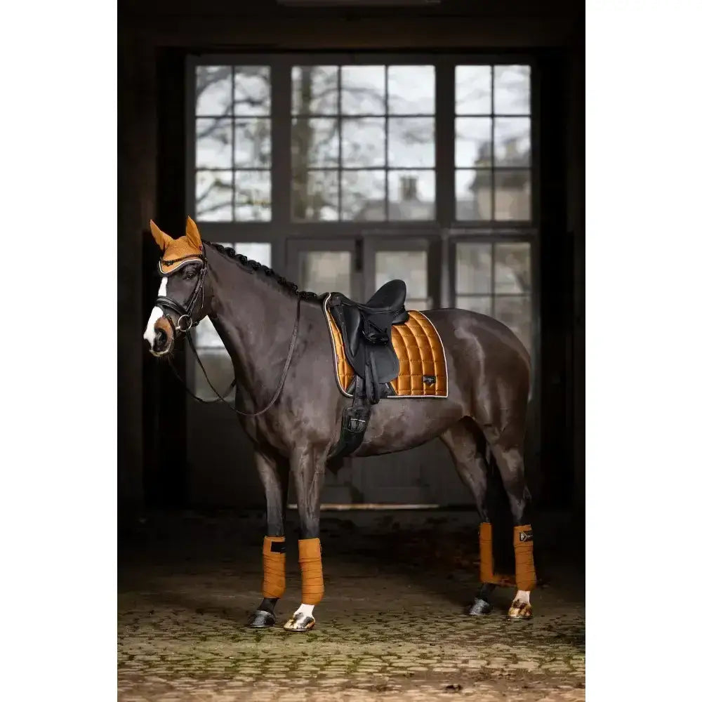 A dark brown horse wearing lemieux loire classic dressage square ginger with orange quilted pad and leg wraps
