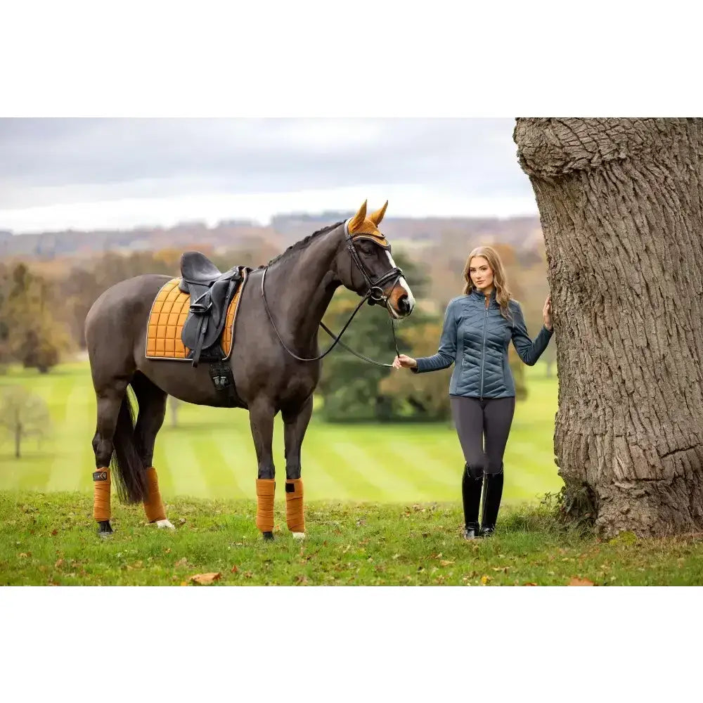Dark brown horse wearing lemieux loire classic dressage square ginger with black saddle and orange leg wraps