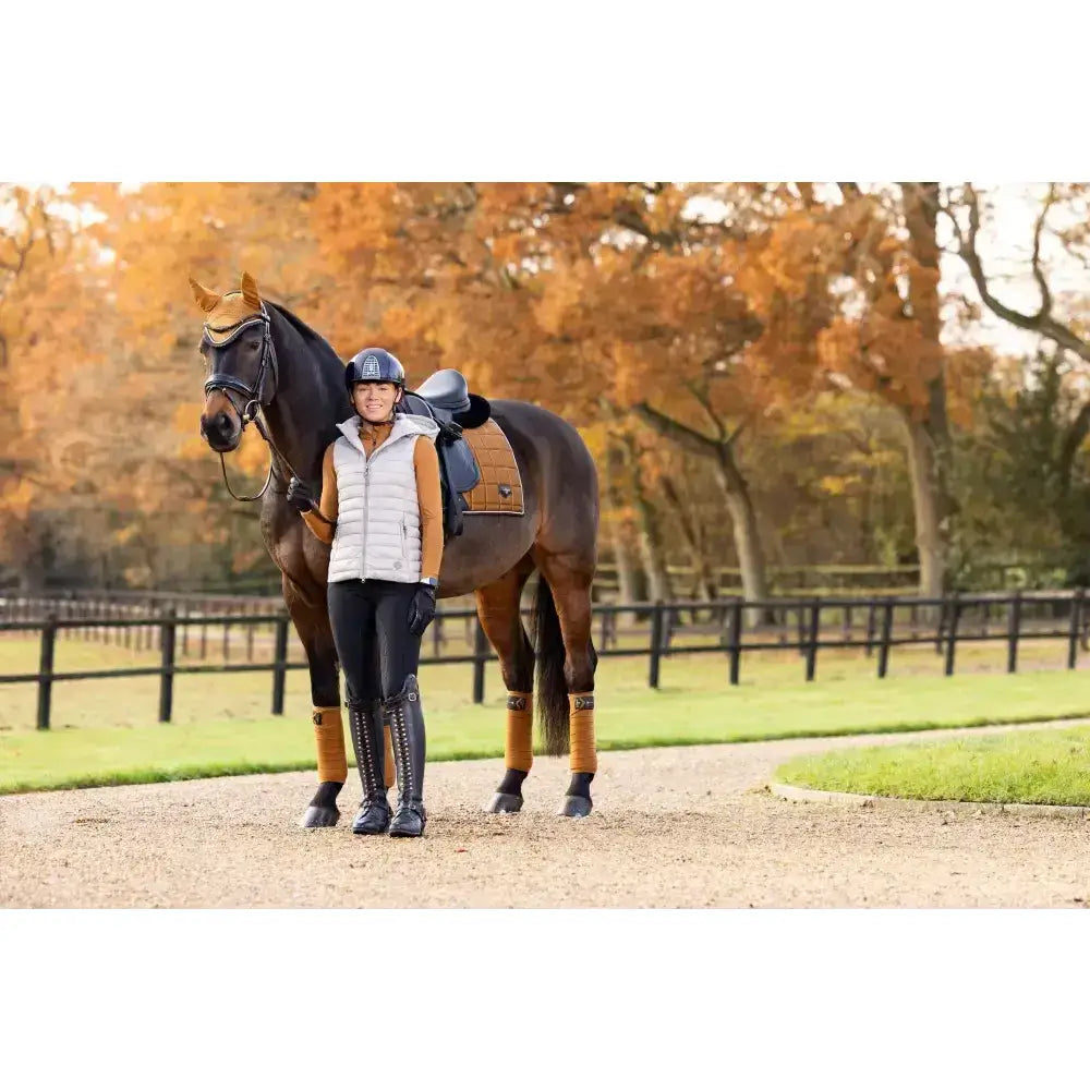 Dark brown horse with black saddle and tan leg wraps wearing lemieux loire classic dressage square ginger saddle pad