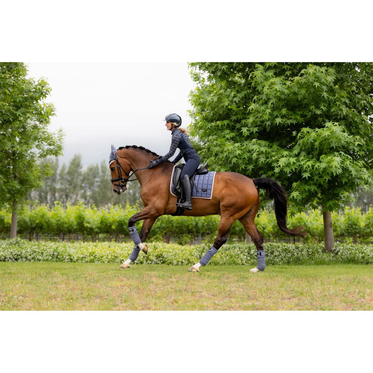 Lemieux Loire Classic Dressage Square Jay Blue Small/Medium LeMieux Saddle Pads & Numnahs Spring Summer 2024 From Barnstaple Equestrian Supplies